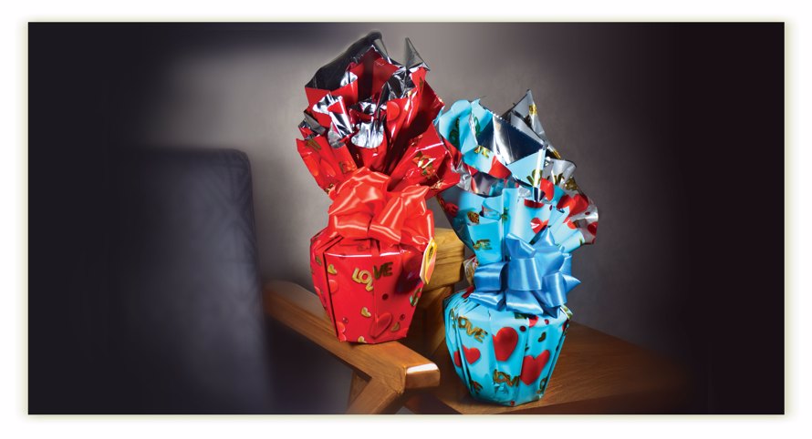 AzwCmsCore.Extend.Fields.StringField